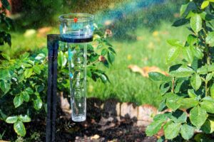 Rain gauge